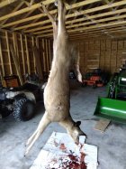 IMG_20211108_132930.jpg