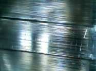 IMG110101-013056F.JPG