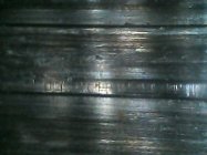 IMG110101-013533F.JPG