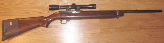 Ruger 44 carbine gamma 12-16-2011.jpg