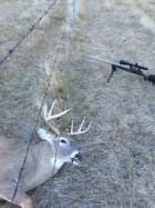 West River SD Deer.jpg