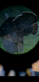 Screenshot_20211125-112744_Gallery.jpg