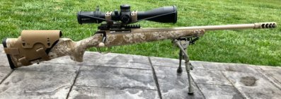 Sauer_2.jpeg