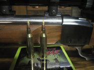 IMG_0747.JPG