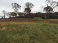 IMG_1953.JPG