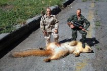 Squirrels.jpg