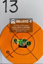Ballistic-X-Export-2021-10-07 19_22_59.703992.jpg