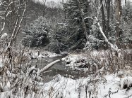 82F07F97-349F-415A-B731-15CF4E102233.jpeg