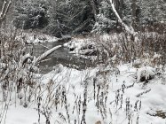 C4477D9E-6B8A-49C1-A416-218A0136EDA9.jpeg