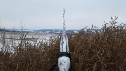 20190111_152750.jpg