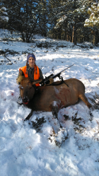 1639013815090.png 1639013815090.png