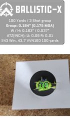 Ballistic-X-Export-2021-08-05 18_46_27.599500.jpg