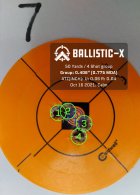 Target 7 Ballistic-X-.jpg