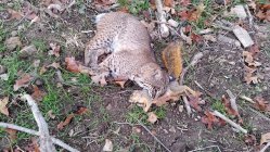20151115_100414.jpg