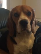 Murph3.jpg