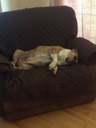 image.jpeg