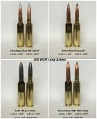 300 WSM - Chinchaga Swift Sierra-1.jpg