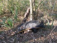 IMG_0143.jpg