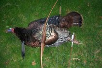 2009TurkeyBowArrow.jpg