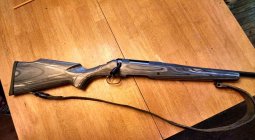 Adam's Ruger American 1.jpg