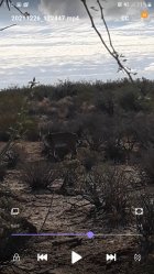Screenshot_20211226-131558_Video Player.jpg