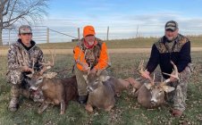 2021 deer 2.jpg