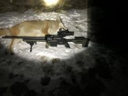 1-4-22 coyote.jpg