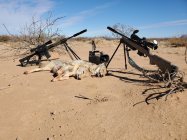 Grendel Dogs.jpg