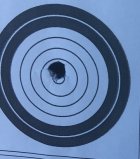hunting bullets target.jpg