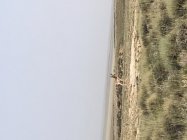 F27AB2C2-791D-4038-A0B5-72470E88BA72.jpeg