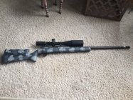 30 Nosler 2.jpg