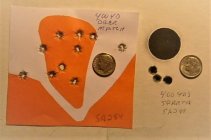 SA284_ deer_match (2).JPG