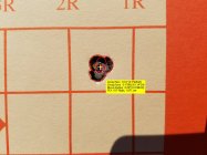 shot_1513063893219.jpg