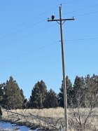 A0D5B97C-17C6-4F00-A85F-5742653E91FB.jpeg