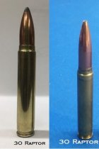 couple of Raptors in 30.jpg