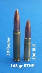 300BLK vs 30 Raptor.jpg