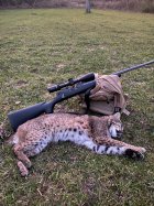 2 12 22 bobcat 6 br 1st blood.jpg