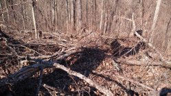 IMG_20220215_141128688.jpg