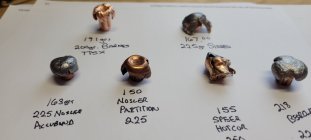 20220204_101138.jpg