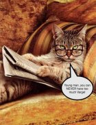 Varget Cat.jpg