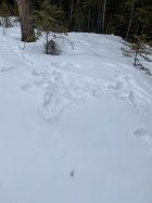 04F3AB07-A9A3-4B55-97D8-7BC3EA198E12.jpeg