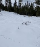 E11164BA-B303-432B-81B8-2F00F91E8709.jpeg