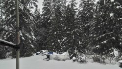 IMG_20210214_132921.jpg