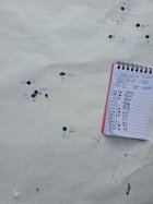 thumbnail (9).jpg