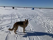 0557BB6E-0ED4-4815-B6B8-9520C585AD41.jpeg