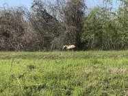 3926A587-7AA7-4848-AD6A-B40AB93499DE.jpeg