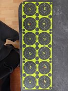 50yrd ammo test.jpg