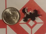 20190525_233304.jpg