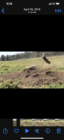 8DC755BE-F359-4E16-A693-ED8FEC8ACE0C.jpg