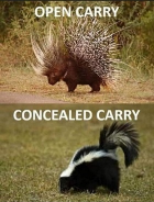 Open vs Conceal Carry.png